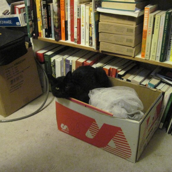 * Welcome to my Closet. Please Read! *  ~ Meet your Posher, Gina - Picture 9 of 16